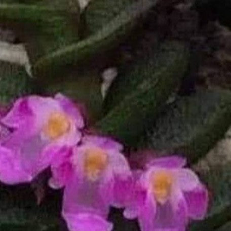 170244872973278a4a86960eeb576a8fd4c9ec6997-.webp