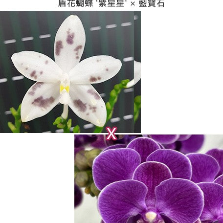 acf2f58b-8668-4997-be68-dbceb8342590.jpg
