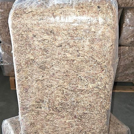 176915796680-Chilean%20Sphagnum%20Moss%20%E6%99%BA%E5%88%A9%E6%B0%B4%E8%8D%89%20%E8%8A%B12.jpg