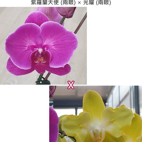 36ddd11a-a0d6-4e49-b8e6-74f0a49effcf.jpg