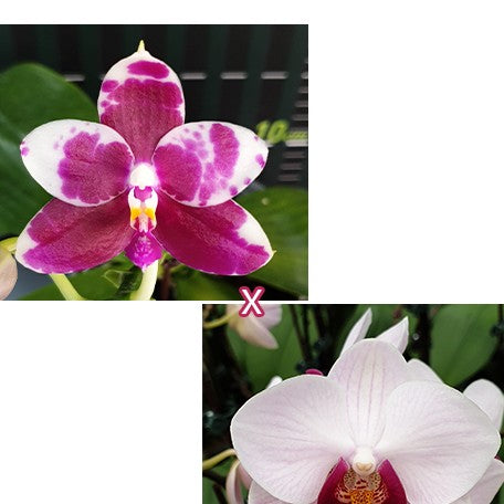 566187c7-3fd9-4650-ac86-9bec71701d04.jpg