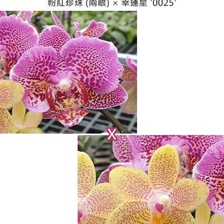 7f7812eb-57f5-49cf-b530-9caeb3921691.jpg