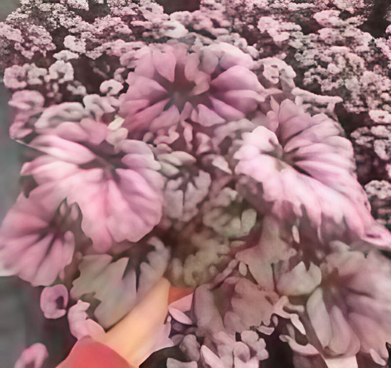 8d172003-a4ee-4e6e-92f0-dba4f8e2df1f.png