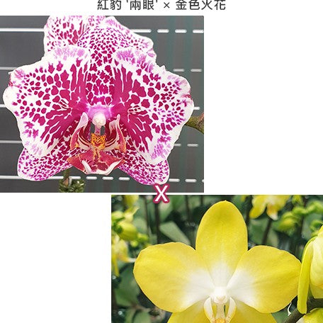 d7c87ba6-a18f-4356-ab34-e18b6a211a2e.jpg