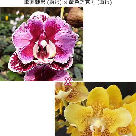 e4cf3729-de71-4ea0-9ef7-c715d6a1efc2.jpg