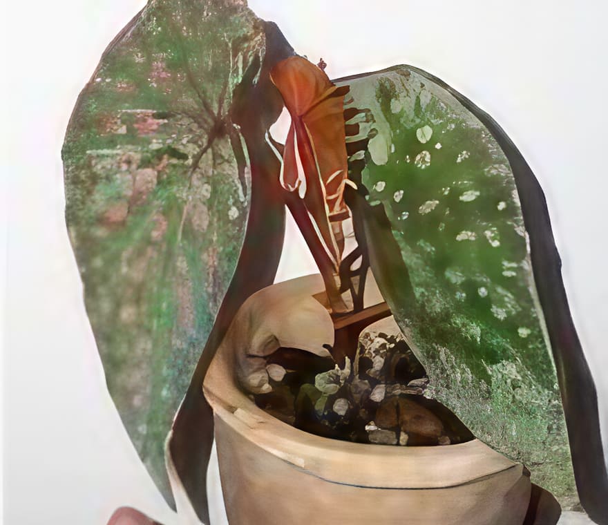 e5a17f4d-02f3-4f5e-ae10-4b59ad4846aa.png